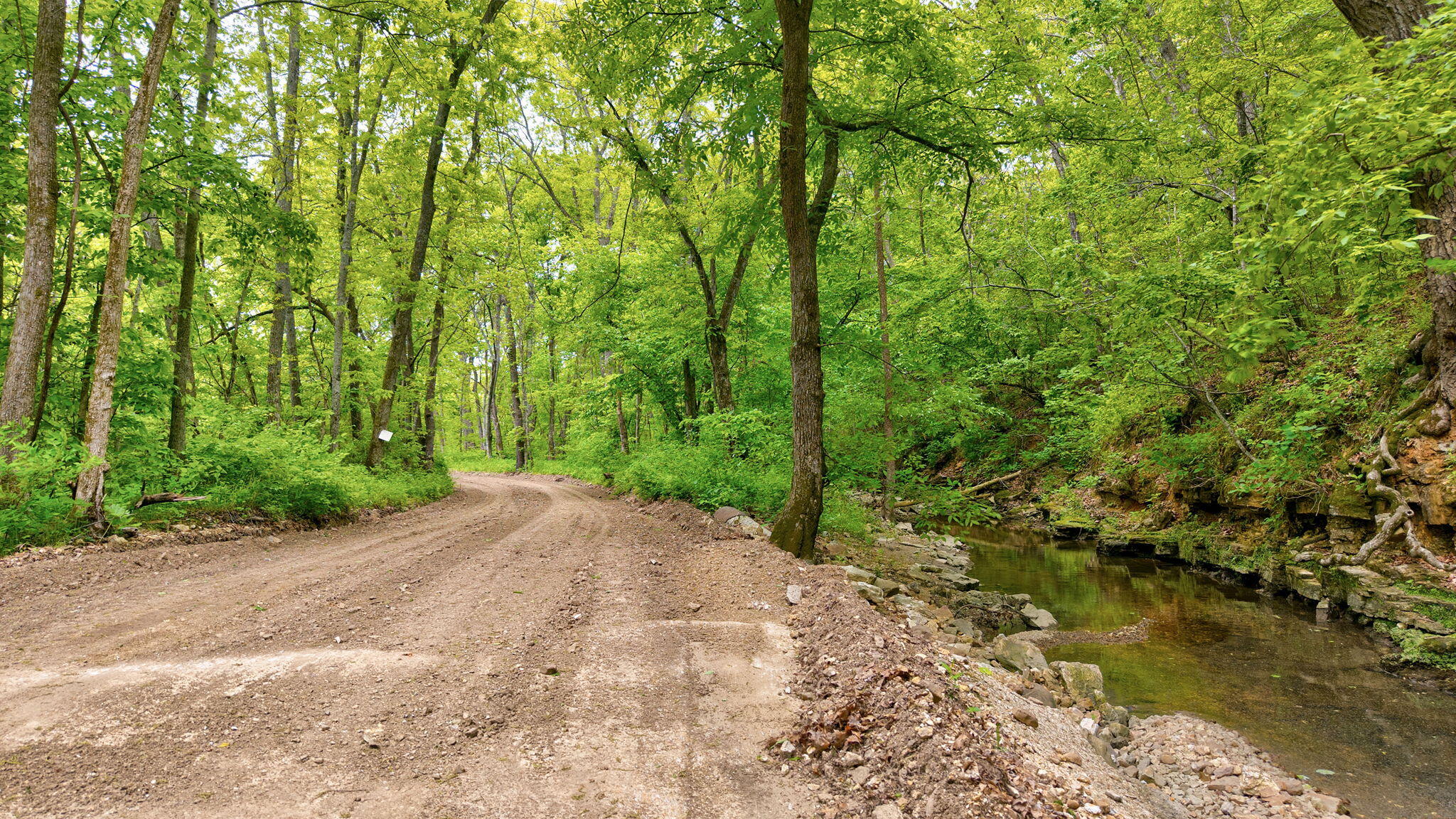 Photo 6 - Land for sale – 000  Woodland Drive  Hartville, MO