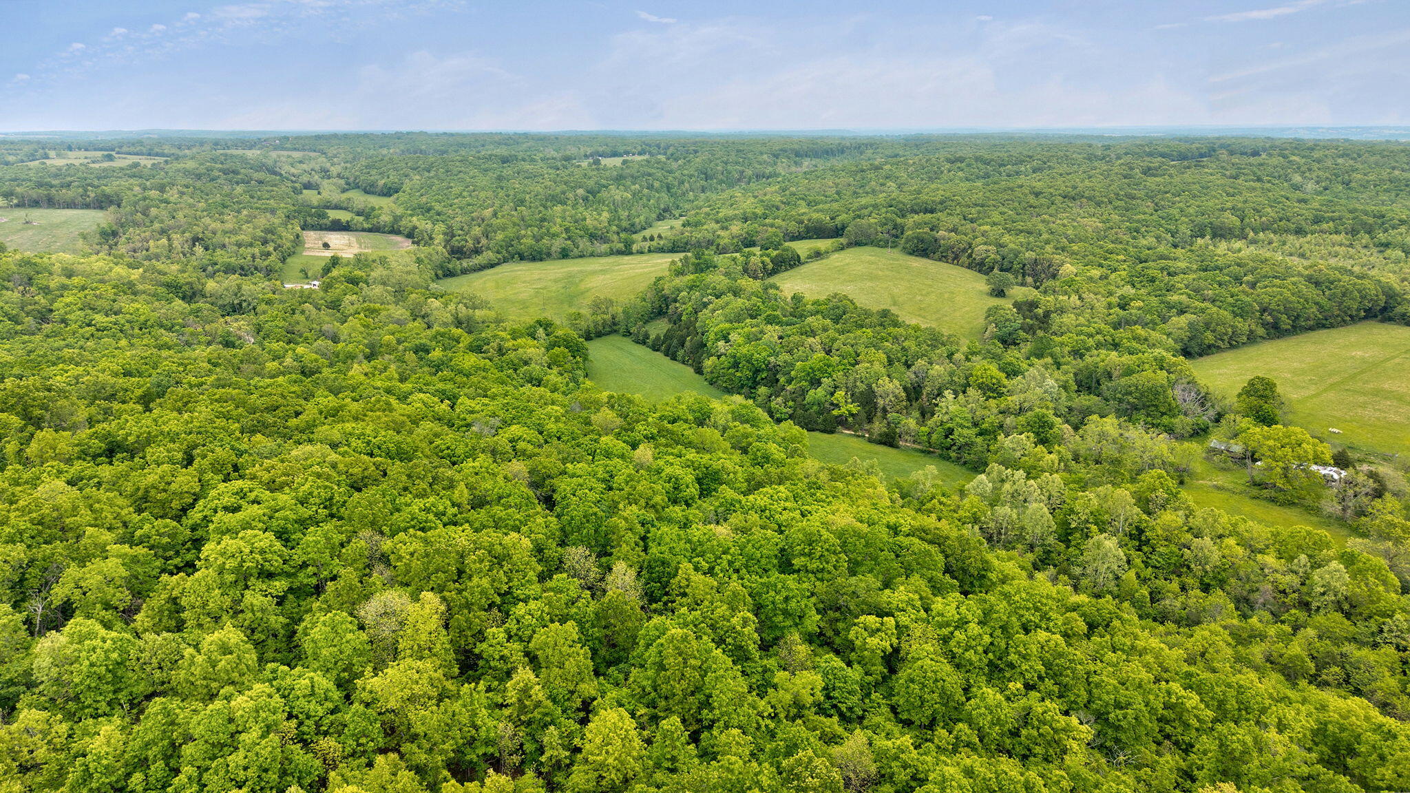 Photo 9 - Land for sale – 000  Woodland Drive  Hartville, MO