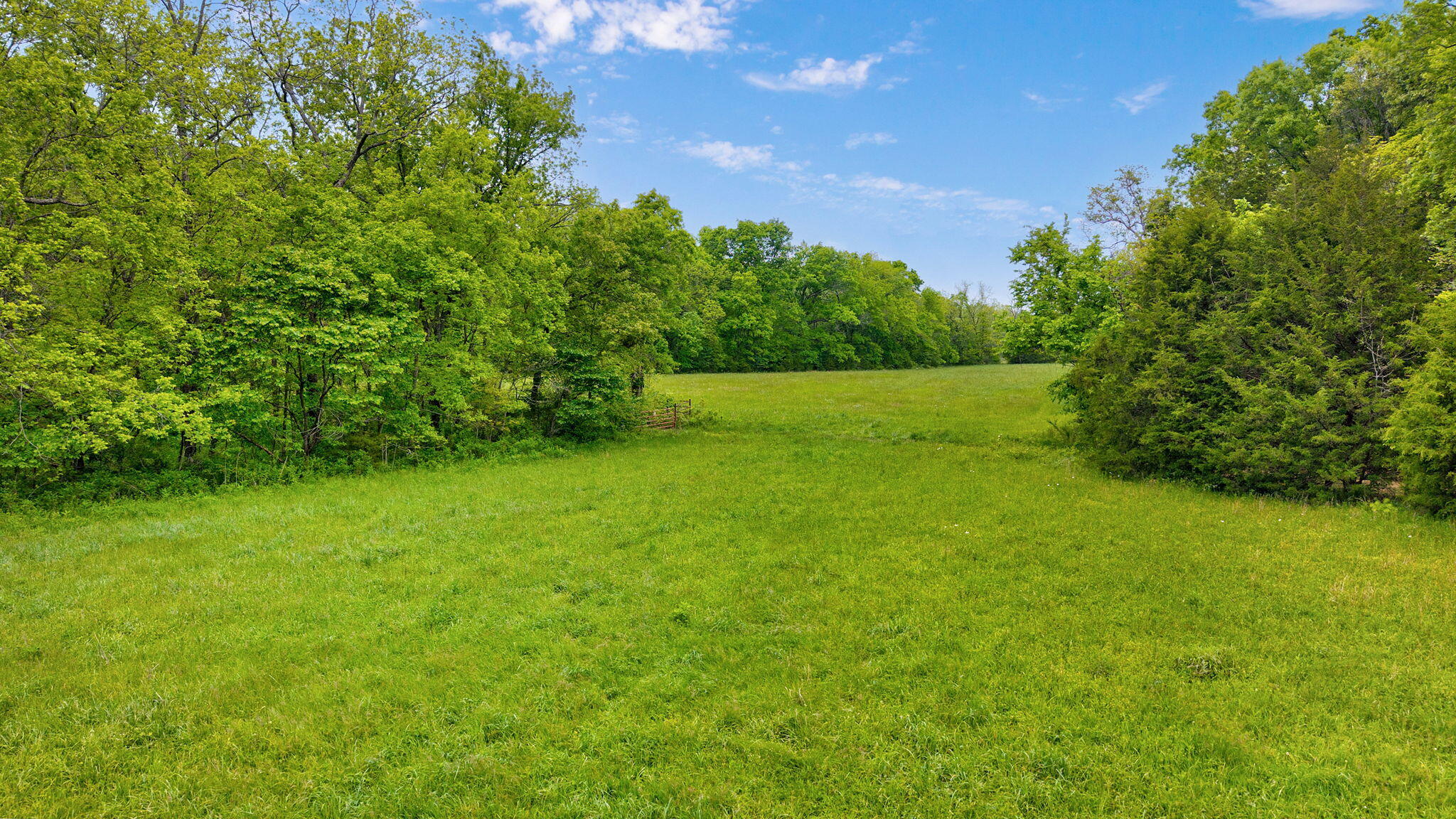 Photo 4 - Land for sale – 000  Woodland Drive  Hartville, MO