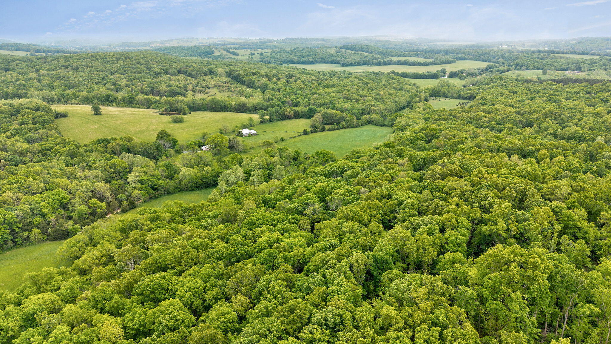 Photo 10 - Land for sale – 000  Woodland Drive  Hartville, MO