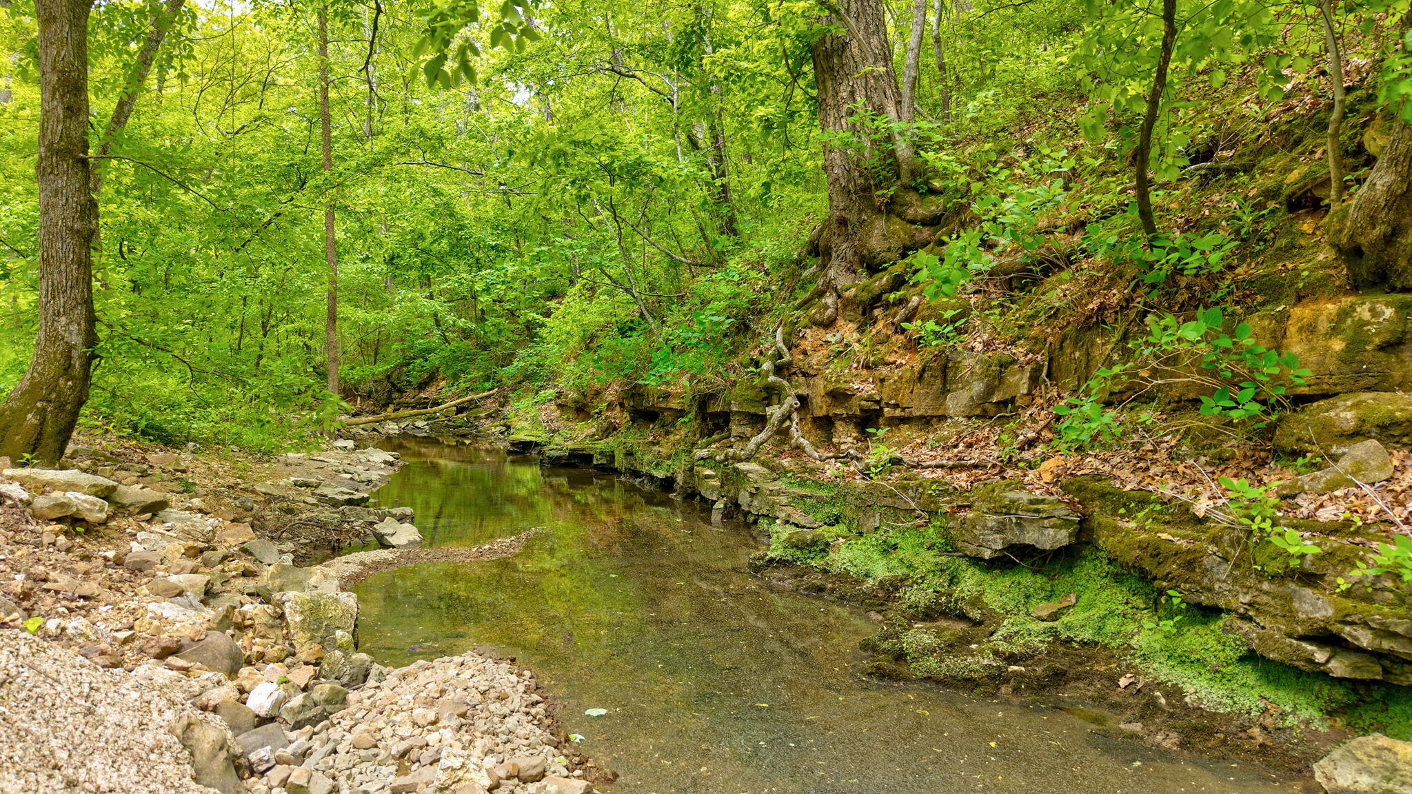 Land for sale – 000  Woodland Drive  Hartville, MO