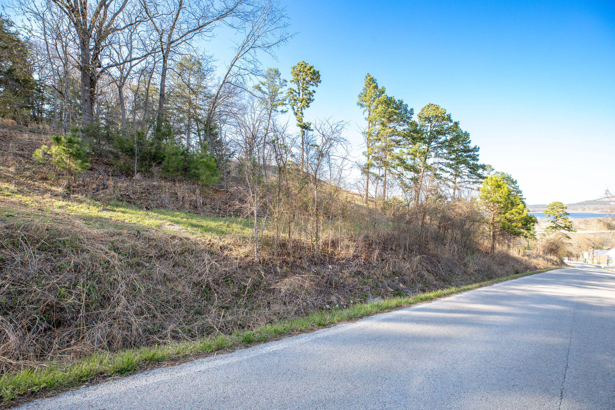 Photo 18 - Land for sale – Lot 2 A  Grizzly Ridge   Blue Eye, MO