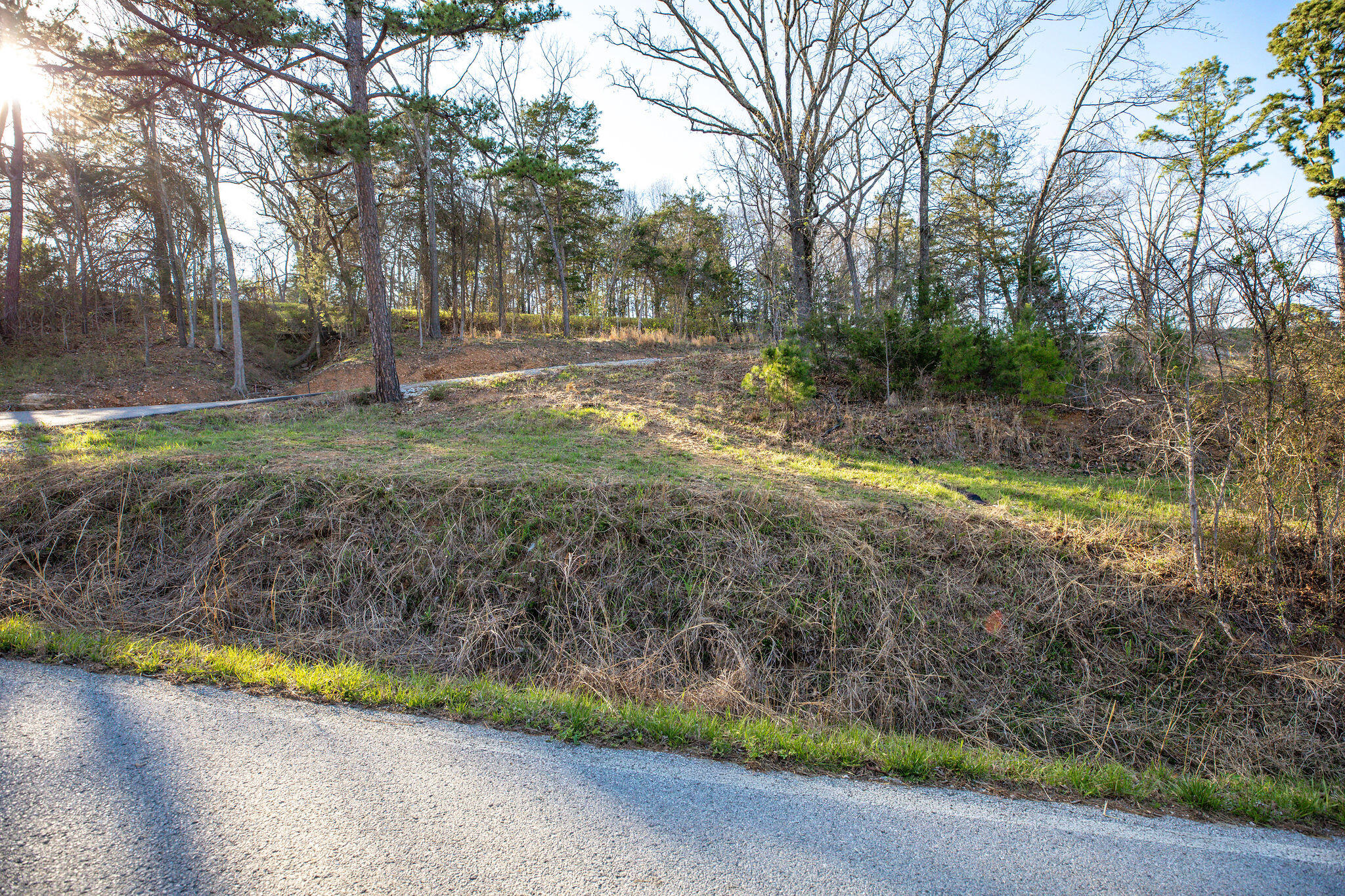 Photo 3 - Land for sale – Lot 2 A  Grizzly Ridge   Blue Eye, MO