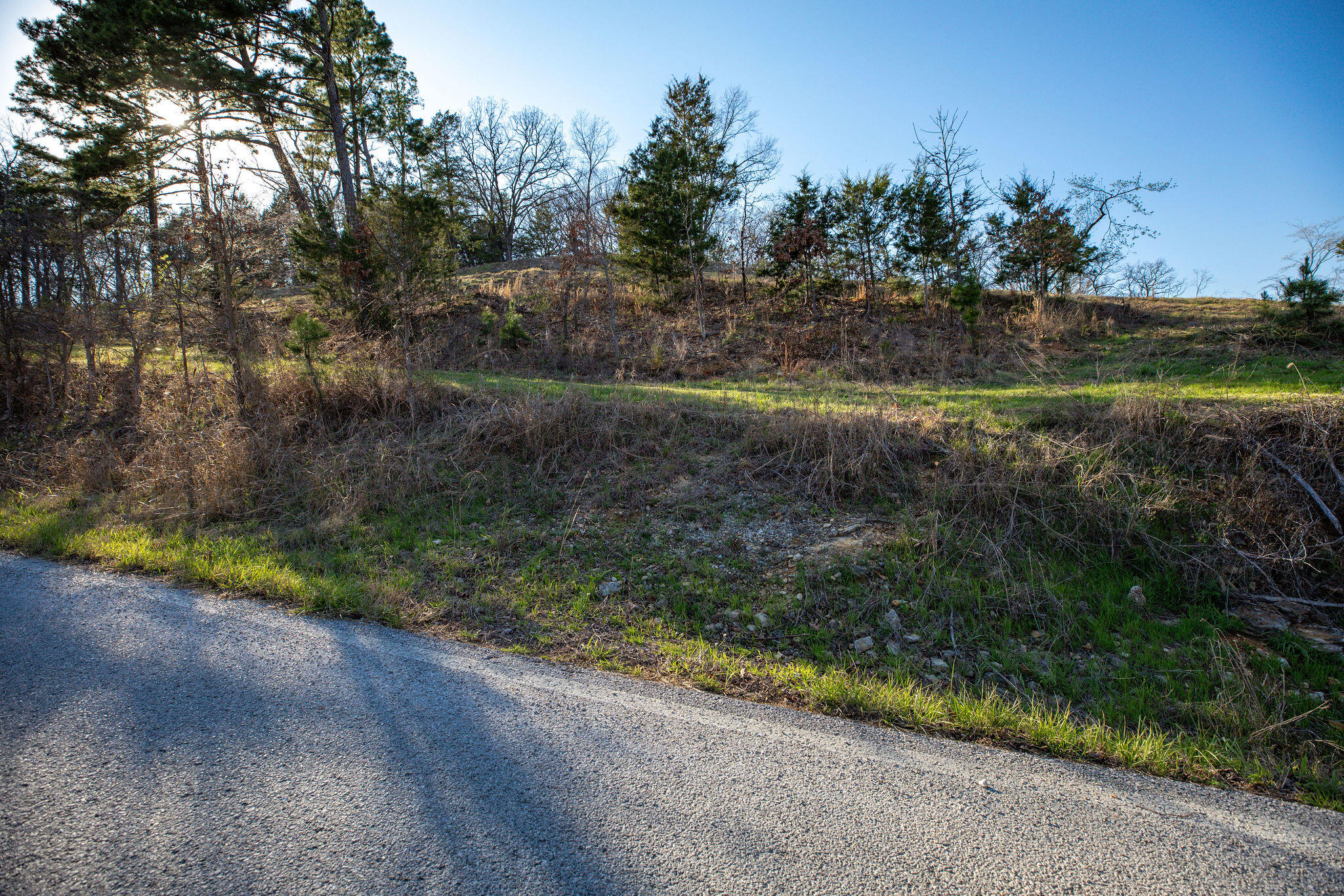 Photo 25 - Land for sale – Lot 2 A  Grizzly Ridge   Blue Eye, MO