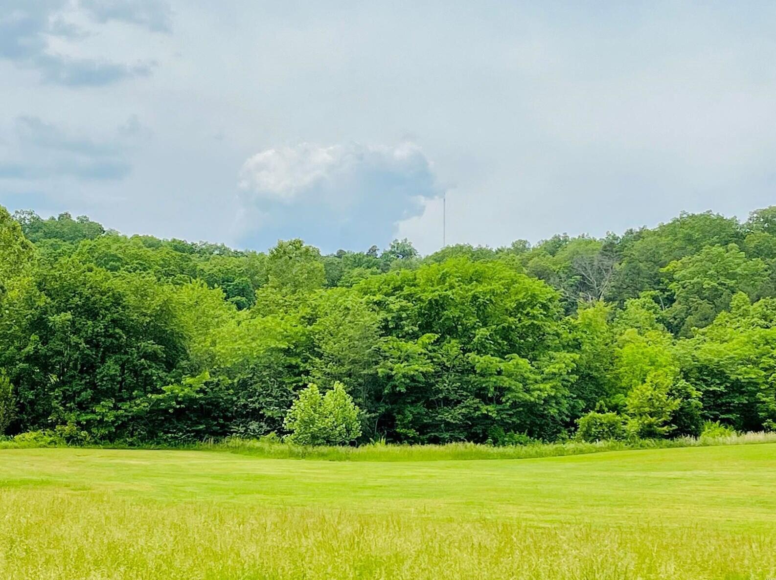 Land for sale – 0  Deer Run Plat 12 Lot 18   Van Buren, MO