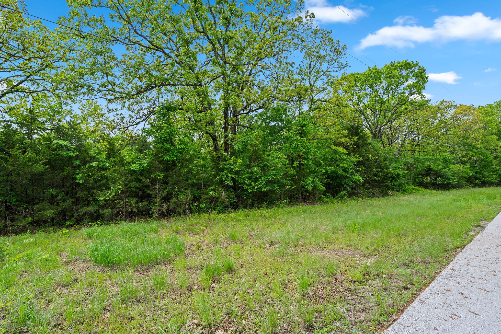 Photo 9 - Commercial Sale for sale – 42  White Eagle Lane  Reeds Spring, MO