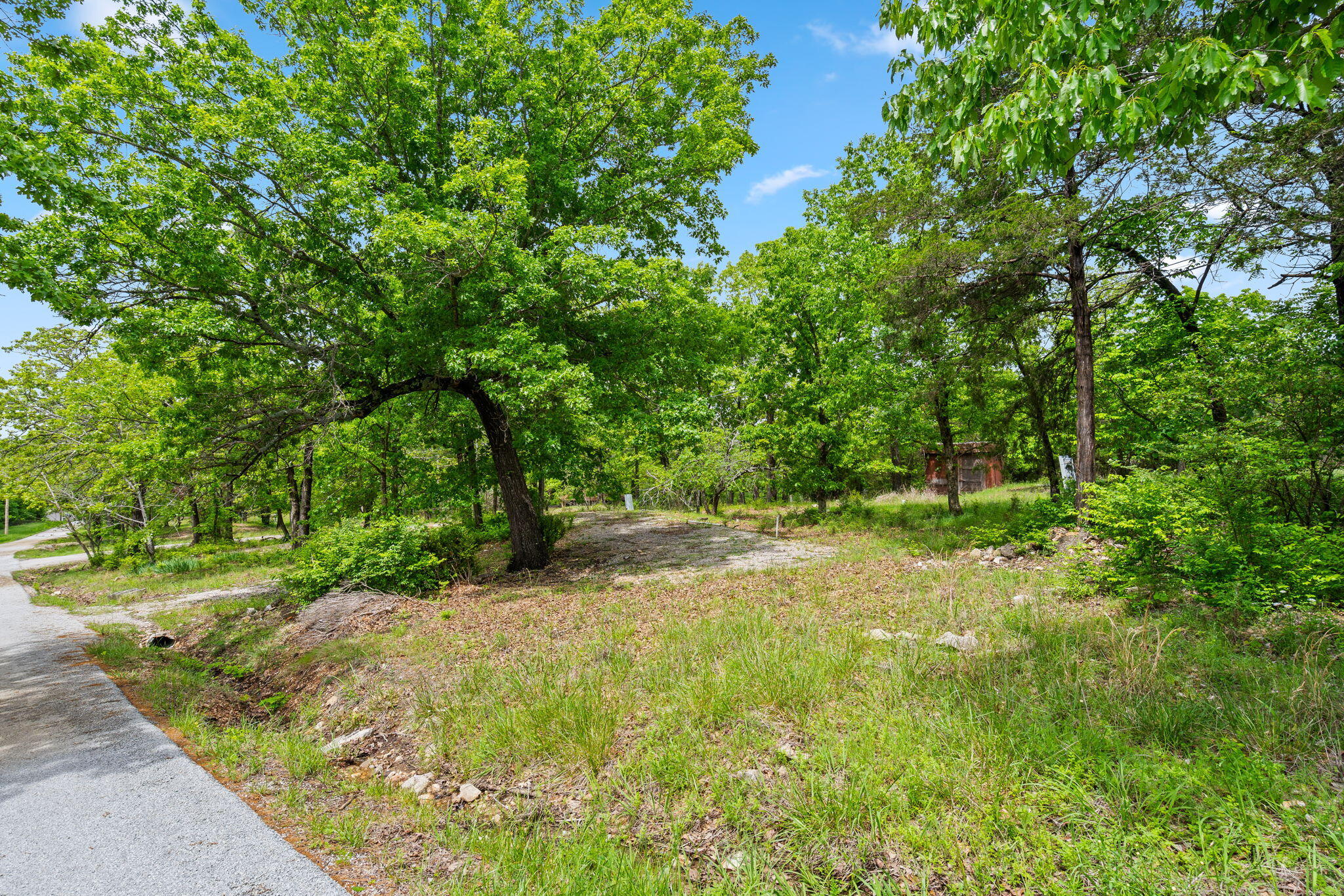 Photo 8 - Commercial Sale for sale – 42  White Eagle Lane  Reeds Spring, MO