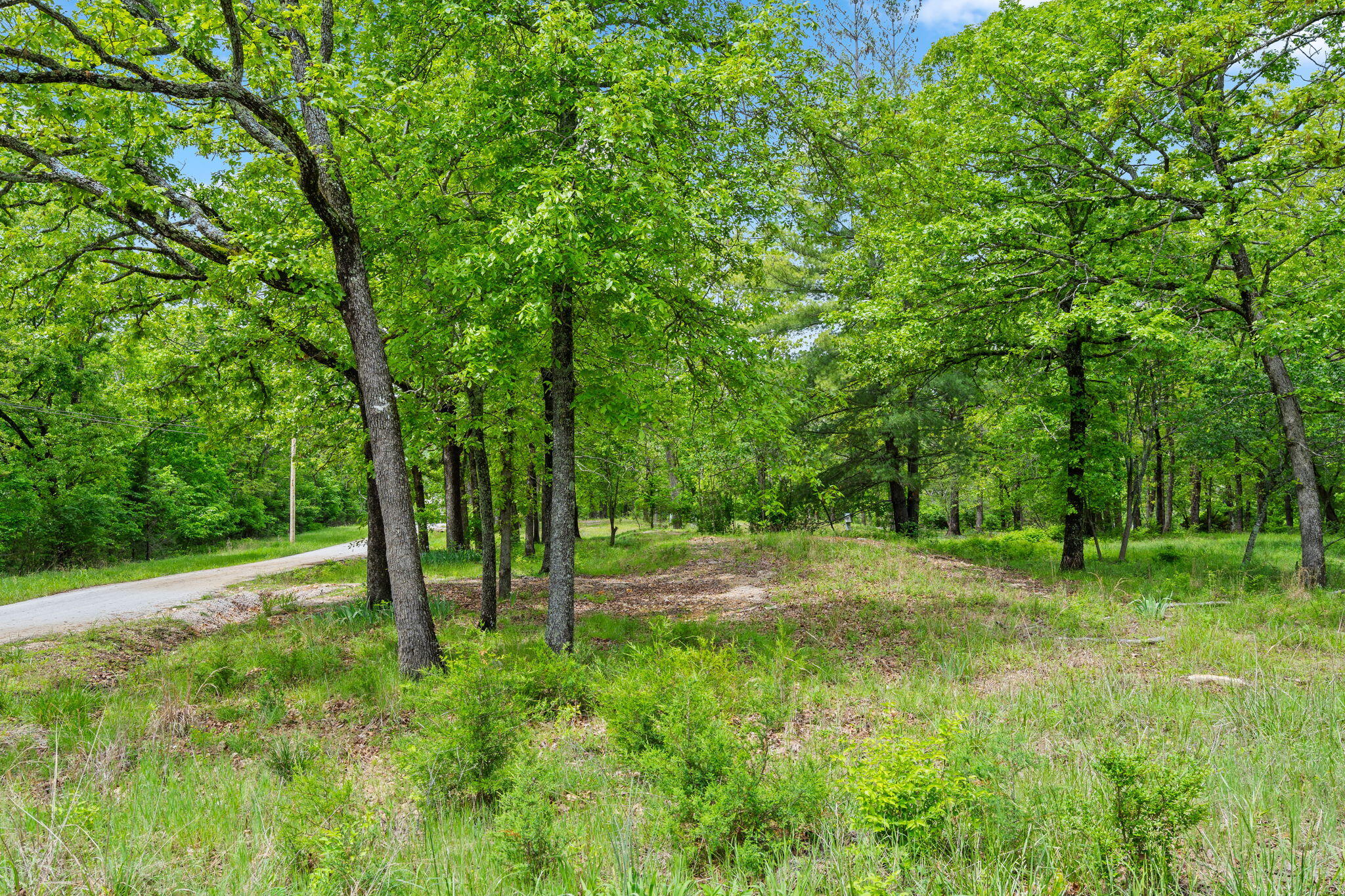 Photo 3 - Commercial Sale for sale – 42  White Eagle Lane  Reeds Spring, MO