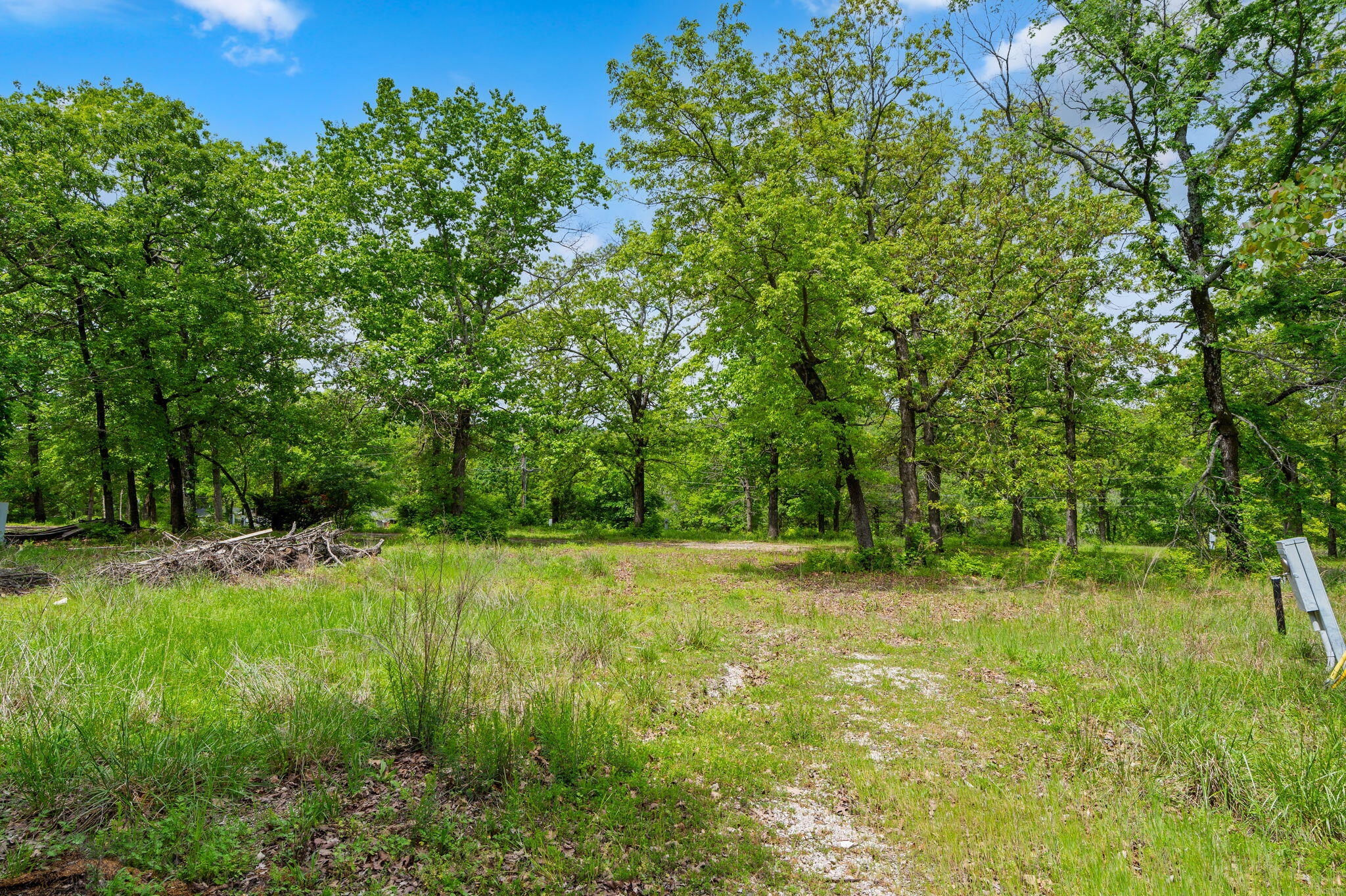 Photo 13 - Commercial Sale for sale – 42  White Eagle Lane  Reeds Spring, MO