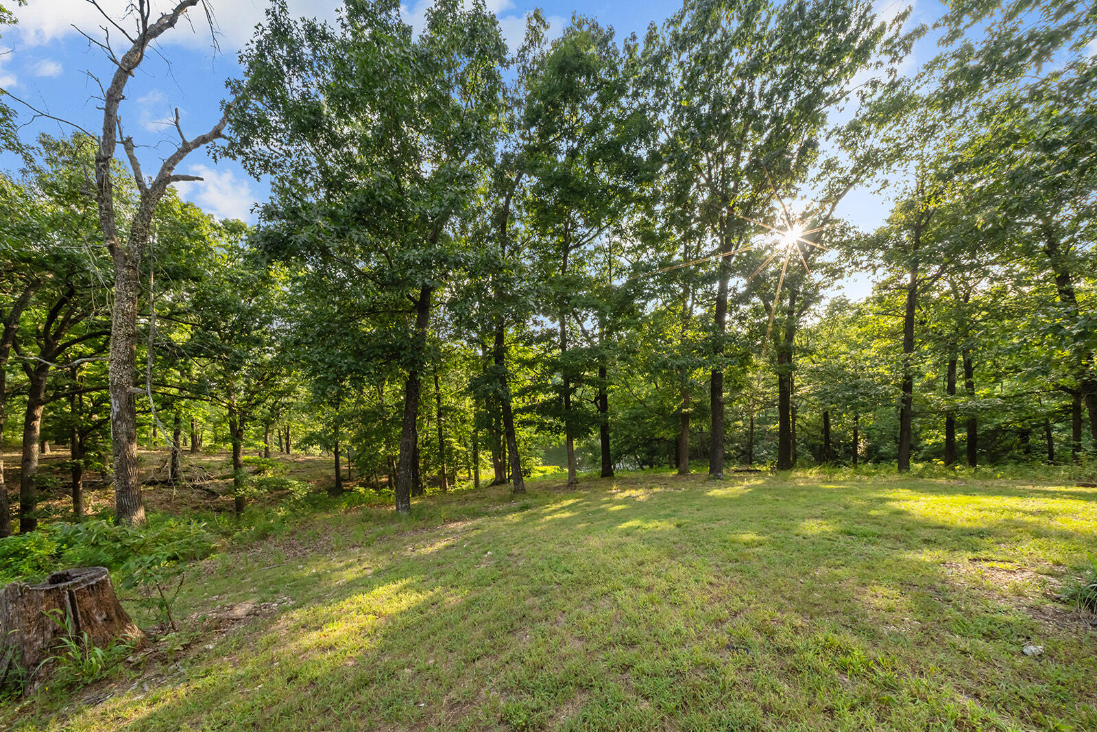 Photo 64 - Residential for sale – 300  Buena Vista Parkway  Strafford, MO