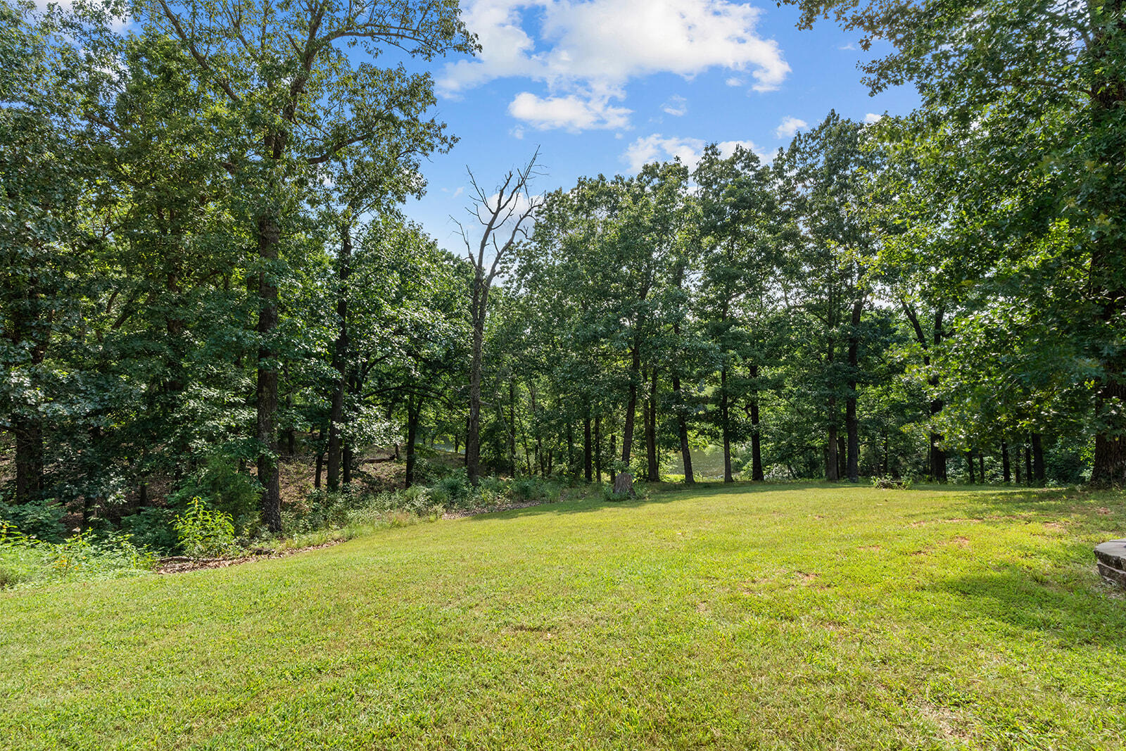 Photo 61 - Residential for sale – 300  Buena Vista Parkway  Strafford, MO