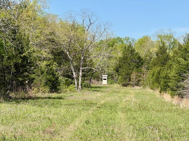 Photo 15 - Land for sale – 4515  Wallen Road  Summersville, MO