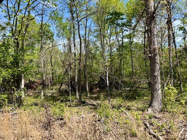 Photo 60 - Land for sale – 4515  Wallen Road  Summersville, MO
