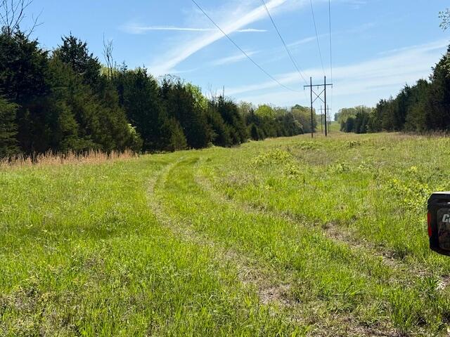 Photo 19 - Land for sale – 4515  Wallen Road  Summersville, MO