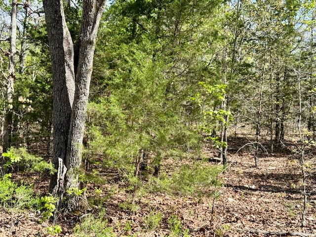 Photo 69 - Land for sale – 4515  Wallen Road  Summersville, MO