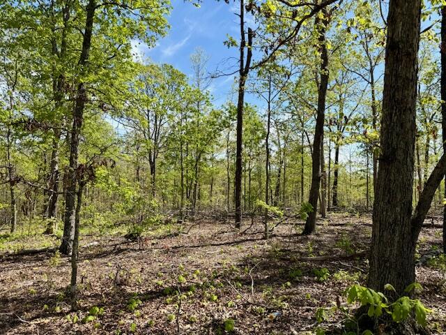 Photo 58 - Land for sale – 4515  Wallen Road  Summersville, MO