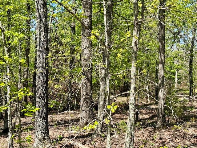 Photo 70 - Land for sale – 4515  Wallen Road  Summersville, MO
