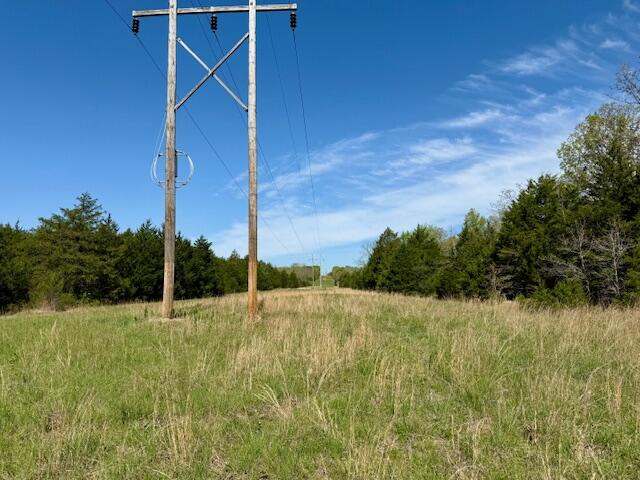 Photo 13 - Land for sale – 4515  Wallen Road  Summersville, MO