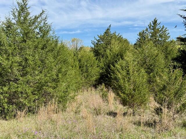 Photo 75 - Land for sale – 4515  Wallen Road  Summersville, MO