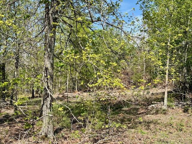 Photo 71 - Land for sale – 4515  Wallen Road  Summersville, MO