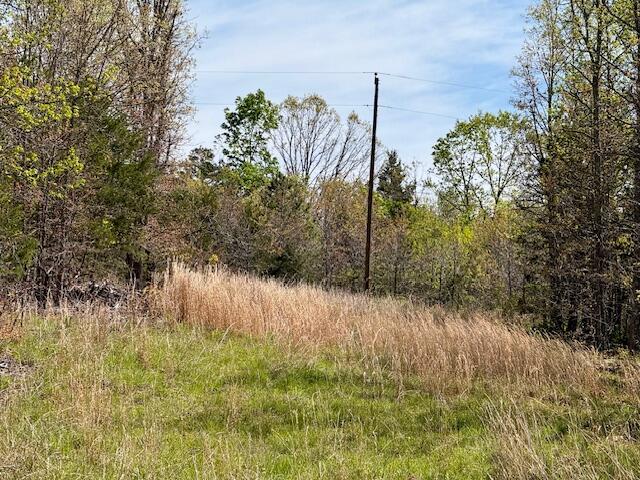 Photo 40 - Land for sale – 4515  Wallen Road  Summersville, MO