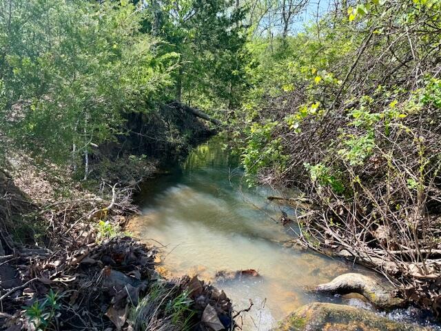 Photo 11 - Land for sale – 4515  Wallen Road  Summersville, MO