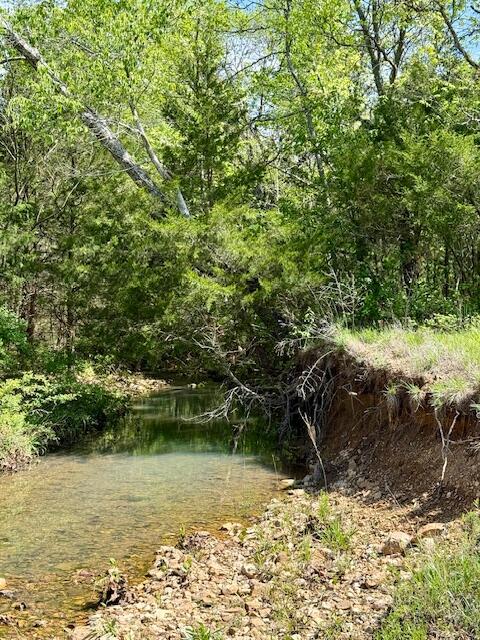 Photo 63 - Land for sale – 4515  Wallen Road  Summersville, MO