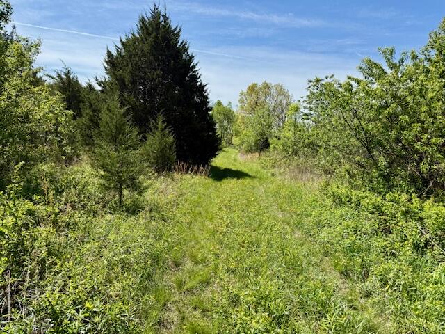 Photo 65 - Land for sale – 4515  Wallen Road  Summersville, MO