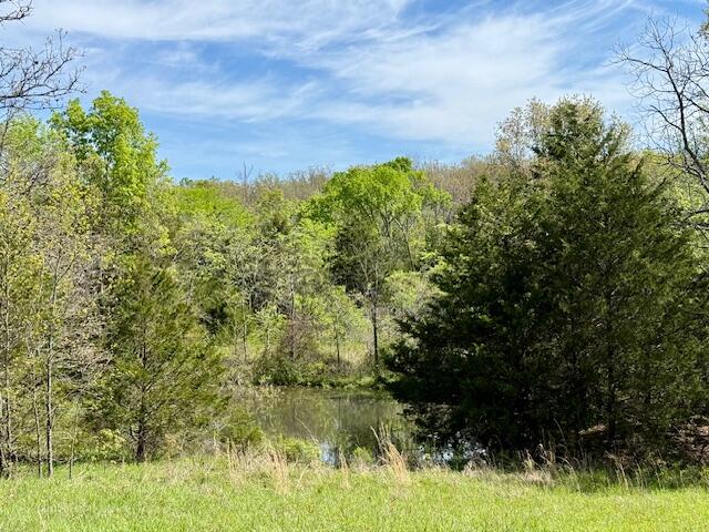 Photo 29 - Land for sale – 4515  Wallen Road  Summersville, MO