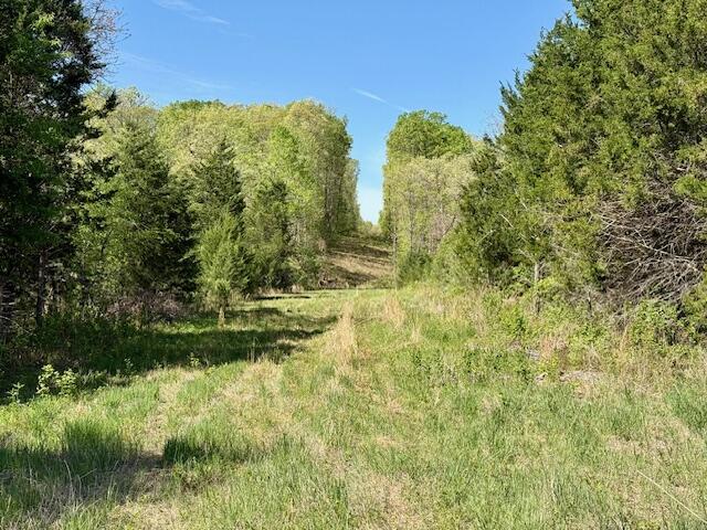 Photo 14 - Land for sale – 4515  Wallen Road  Summersville, MO
