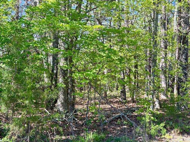 Photo 74 - Land for sale – 4515  Wallen Road  Summersville, MO