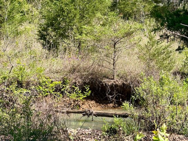 Photo 32 - Land for sale – 4515  Wallen Road  Summersville, MO