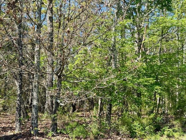 Photo 73 - Land for sale – 4515  Wallen Road  Summersville, MO