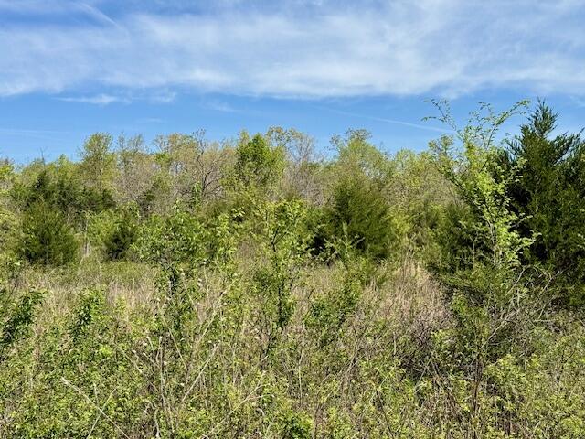 Photo 62 - Land for sale – 4515  Wallen Road  Summersville, MO