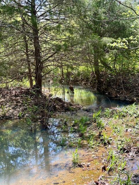 Photo 25 - Land for sale – 4515  Wallen Road  Summersville, MO