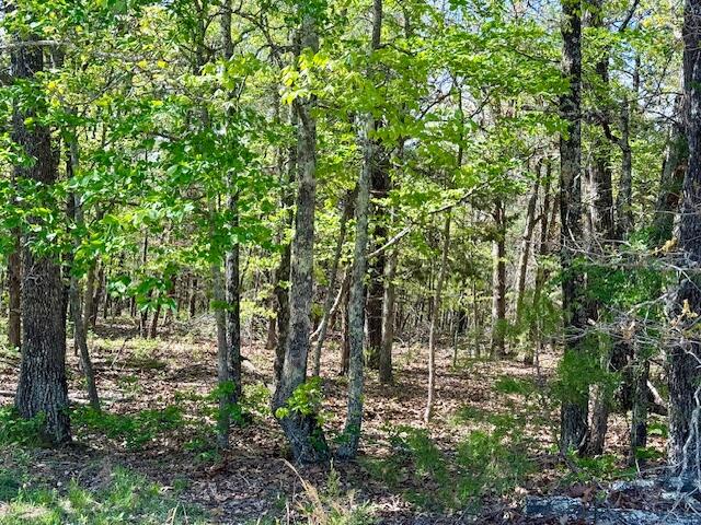 Photo 72 - Land for sale – 4515  Wallen Road  Summersville, MO