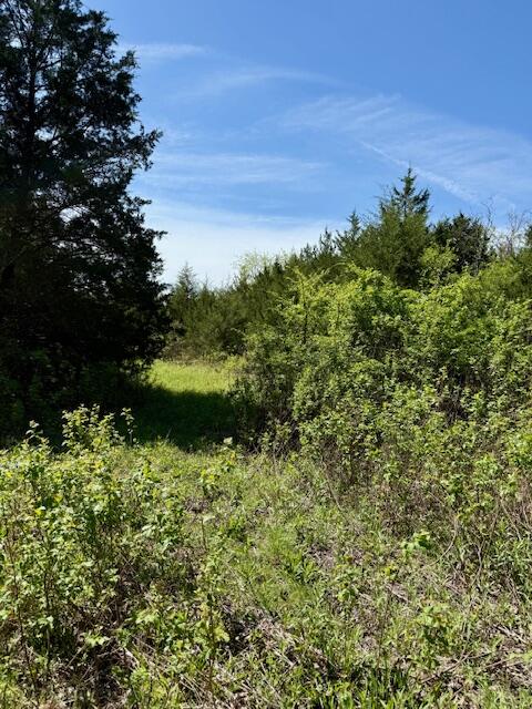 Photo 61 - Land for sale – 4515  Wallen Road  Summersville, MO
