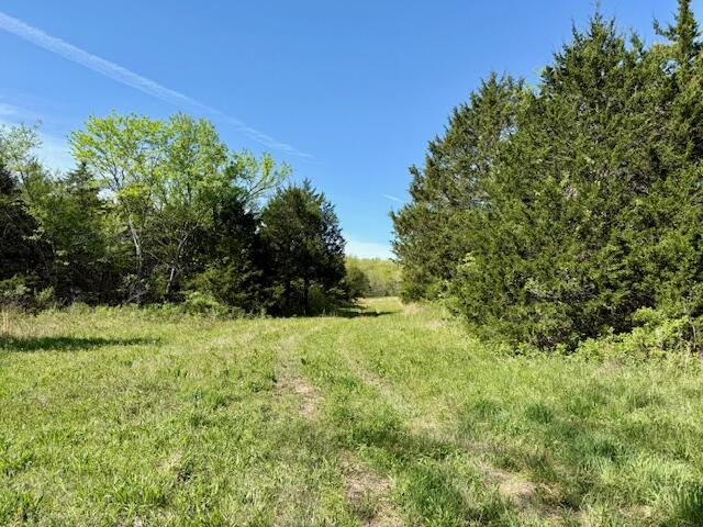 Photo 20 - Land for sale – 4515  Wallen Road  Summersville, MO