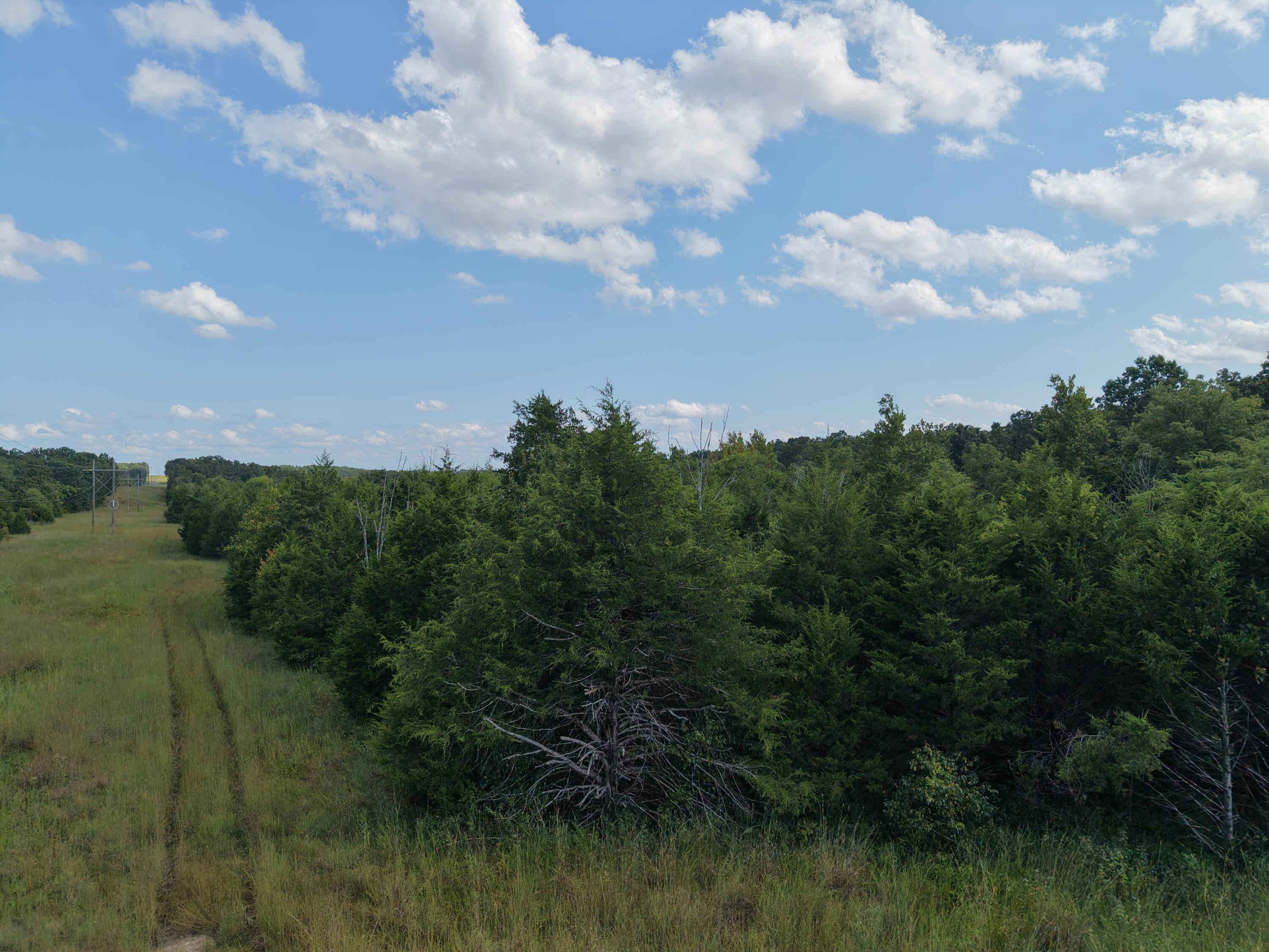Photo 77 - Land for sale – 4515  Wallen Road  Summersville, MO