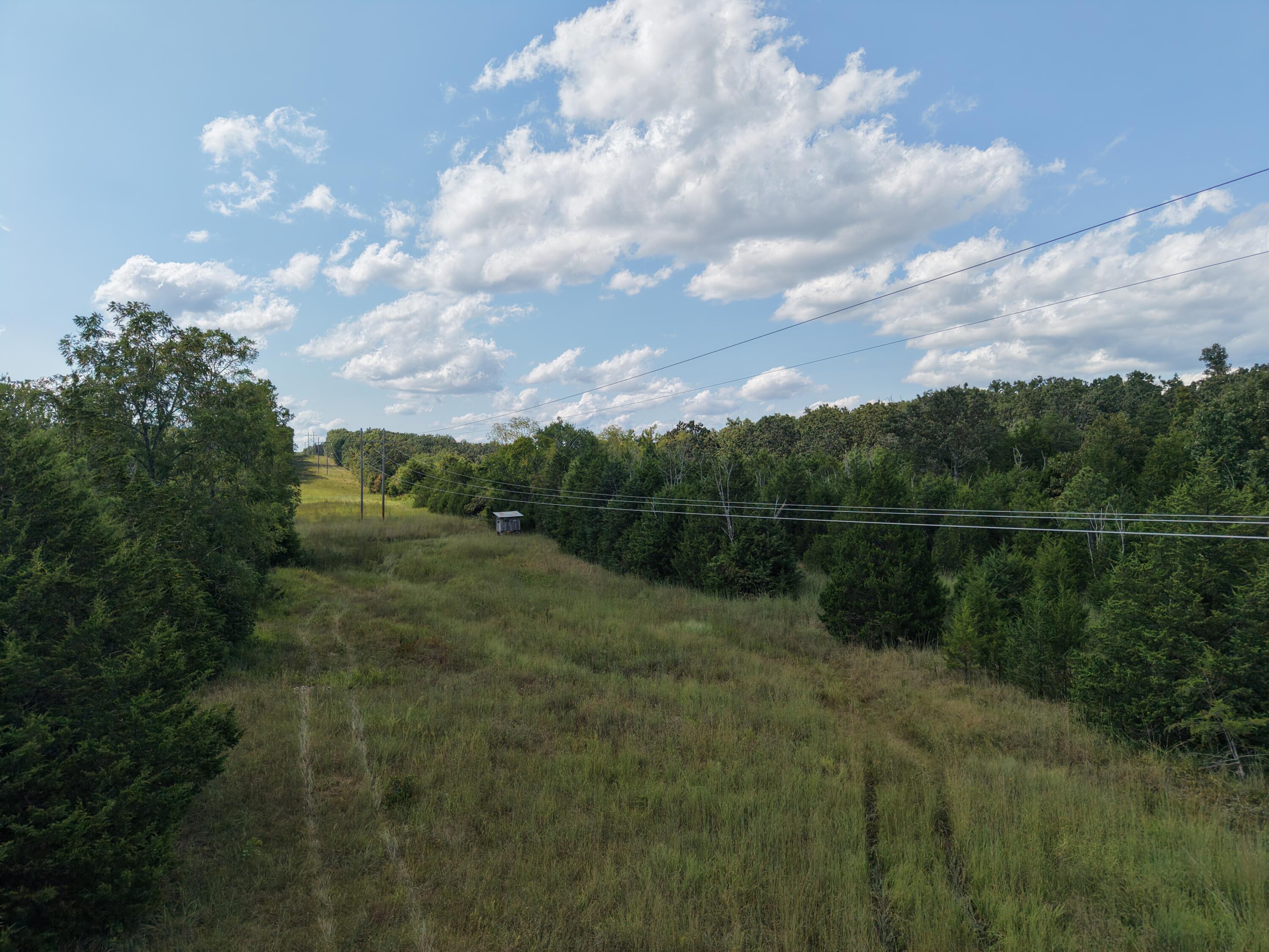 Photo 30 - Land for sale – 4515  Wallen Road  Summersville, MO