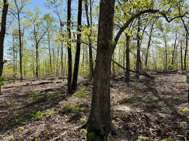 Photo 57 - Land for sale – 4515  Wallen Road  Summersville, MO