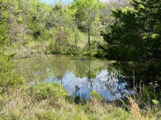 Photo 22 - Land for sale – 4515  Wallen Road  Summersville, MO