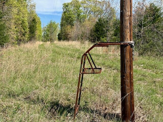 Photo 41 - Land for sale – 4515  Wallen Road  Summersville, MO