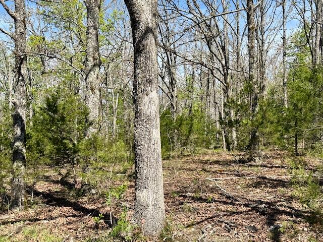 Photo 68 - Land for sale – 4515  Wallen Road  Summersville, MO