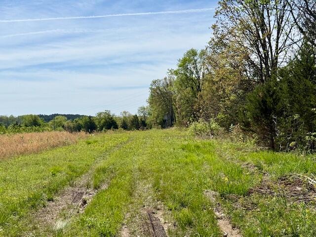 Photo 37 - Land for sale – 4515  Wallen Road  Summersville, MO