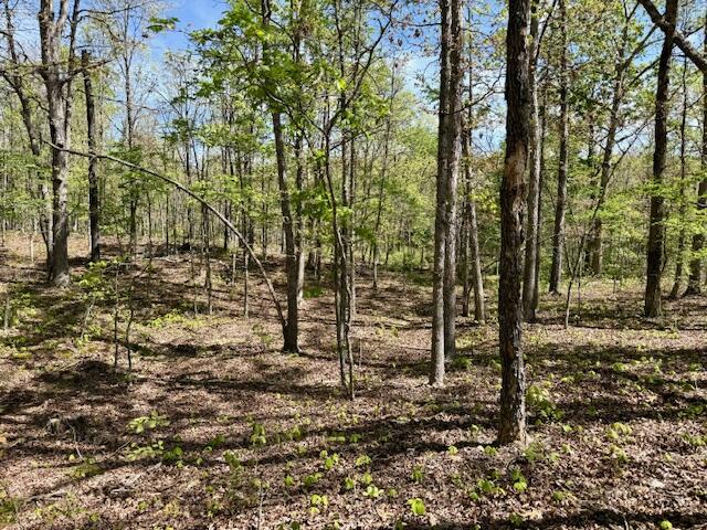 Photo 56 - Land for sale – 4515  Wallen Road  Summersville, MO