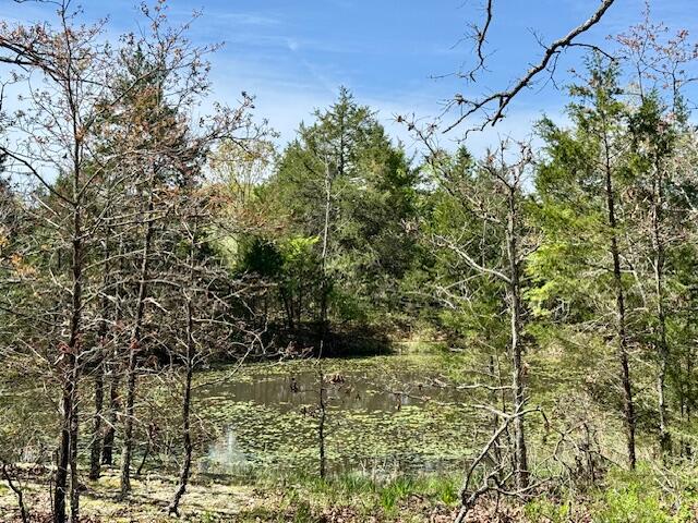 Photo 42 - Land for sale – 4515  Wallen Road  Summersville, MO