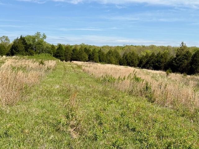 Photo 38 - Land for sale – 4515  Wallen Road  Summersville, MO