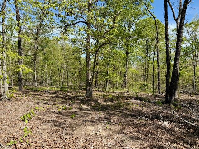 Photo 59 - Land for sale – 4515  Wallen Road  Summersville, MO