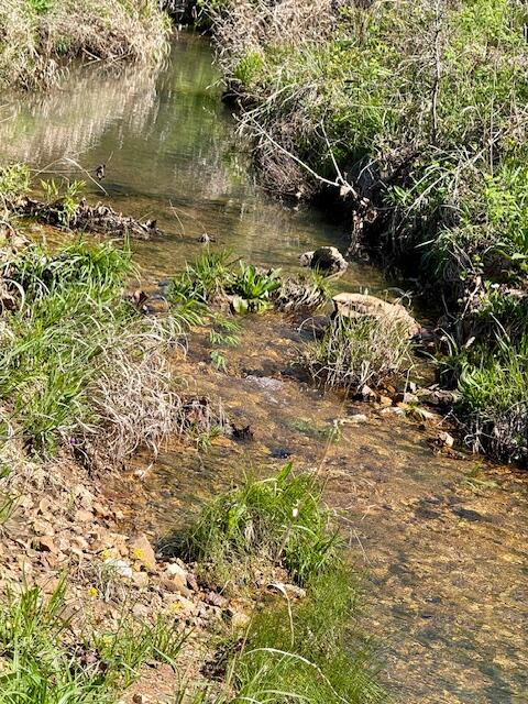 Photo 39 - Land for sale – 4515  Wallen Road  Summersville, MO